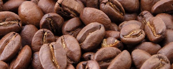 Cocoa Beans