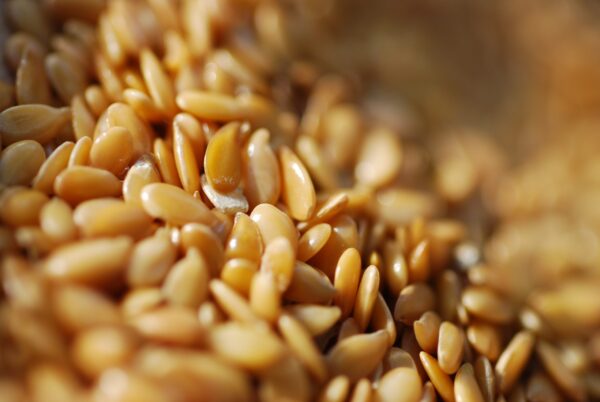 GOLDEN LINSEEDS